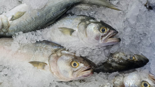 Something fishy about Hydrolyze Marine Collagen