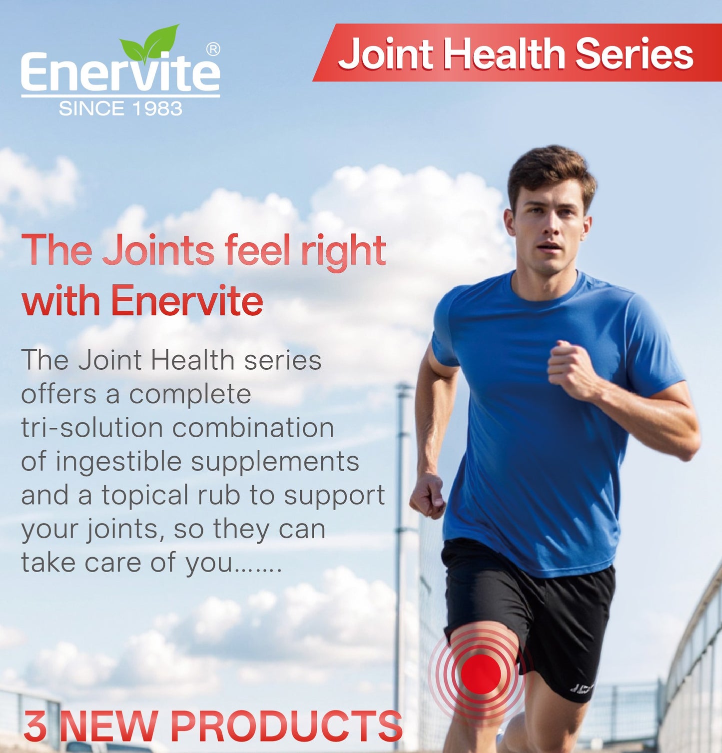 Vegan Glucosamine Forte - Support for Cartilage Health