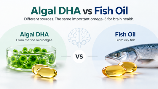 Algal DHA vs Fish Oil: What's the Difference for Brain Health?