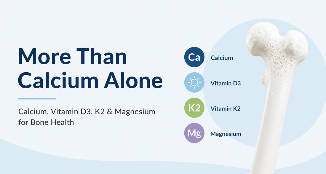 Calcium, Vitamin D3, K2 & Magnesium: What Do They Do for Bone Health?