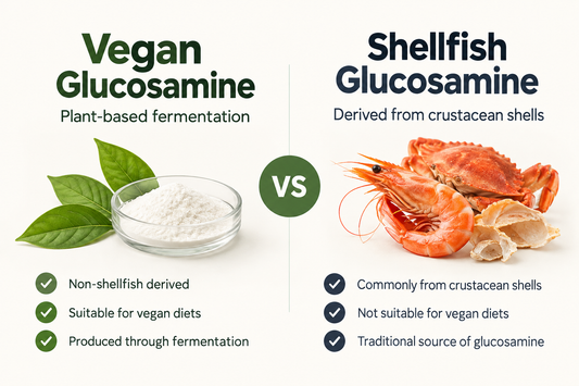 Vegan Glucosamine vs Shellfish Glucosamine: What’s the Difference?
