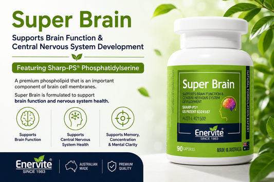 Phosphatidylserine for Brain Health: What Is Sharp-PS® and Why Does It Matter?