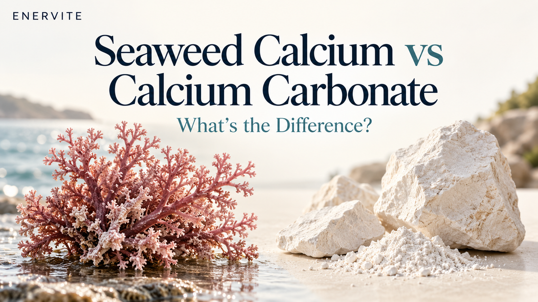 Seaweed calcium and calcium carbonate comparison, showing red marine algae and white calcium carbonate minerals.