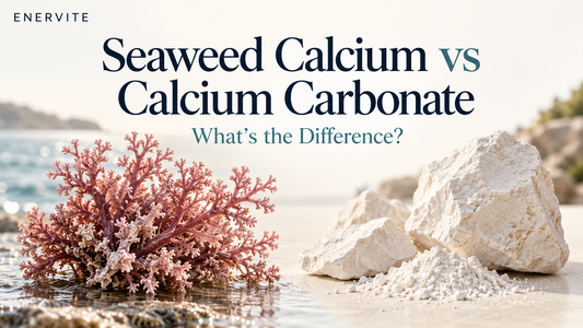 Seaweed calcium and calcium carbonate comparison, showing red marine algae and white calcium carbonate minerals.