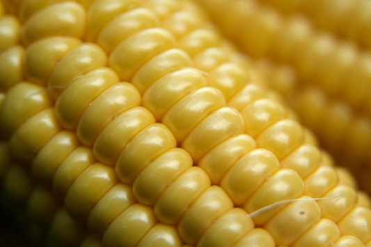 Understanding the Role of Glucosamine in Joint Health