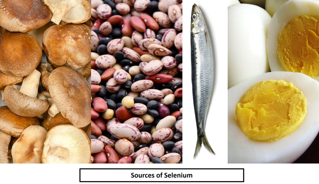 Benefits of Selenium